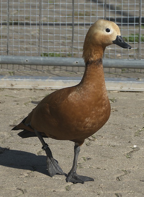她深知如何