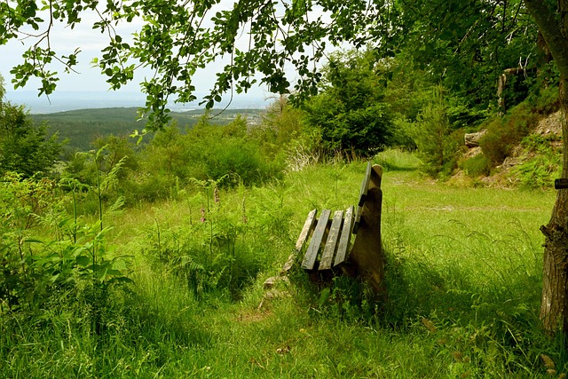 輕球員產生 輕球員產生