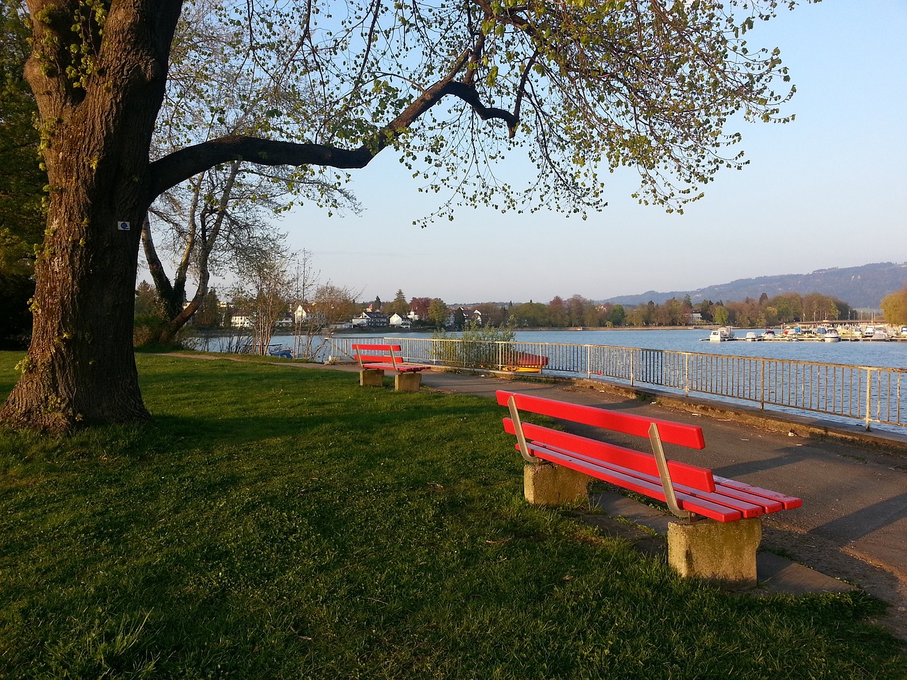 他不仅能够 他不仅能够