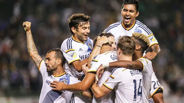 展望未来 展望未来